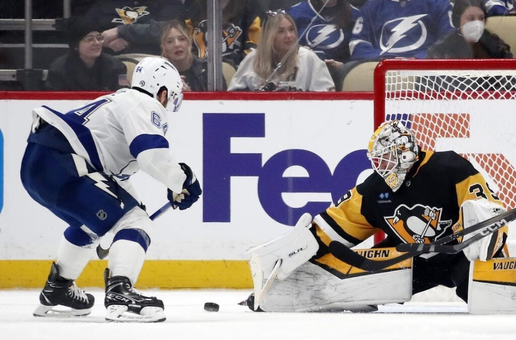 pittsburgh penguins