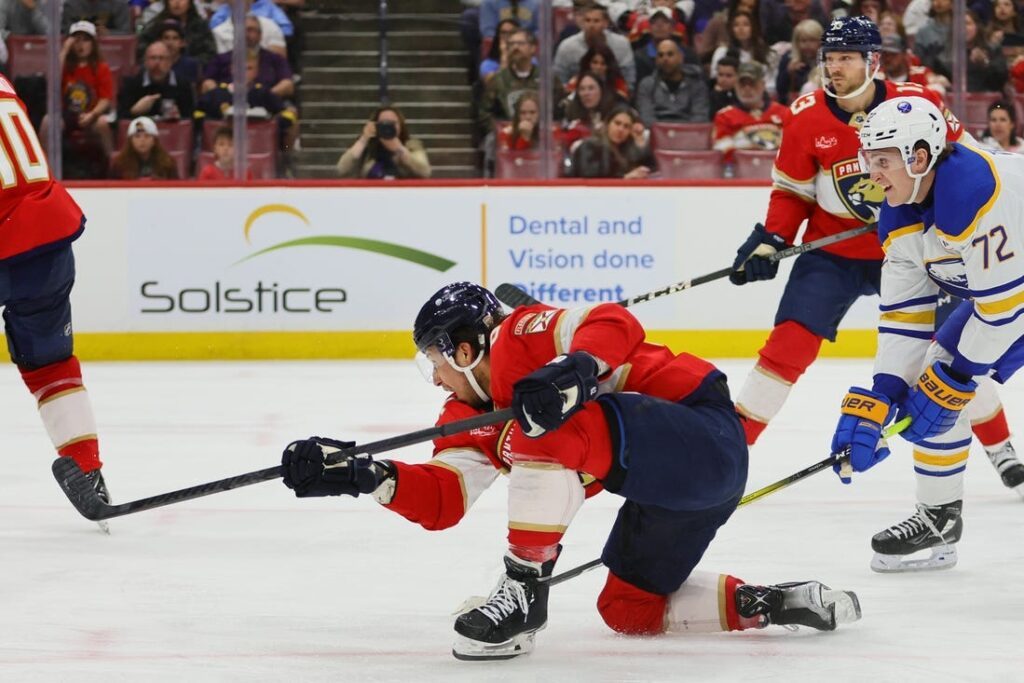 florida panthers
