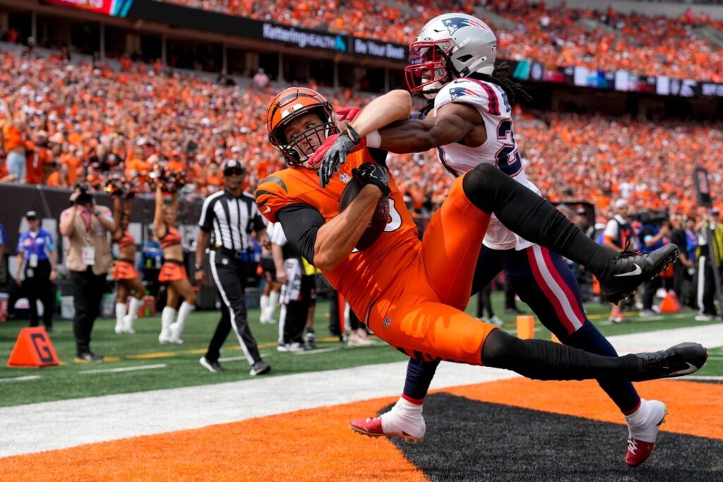 Bengals, Patriots