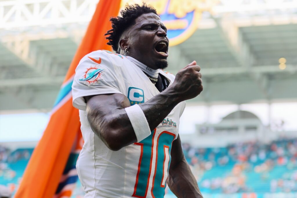 dolphins, jaguars