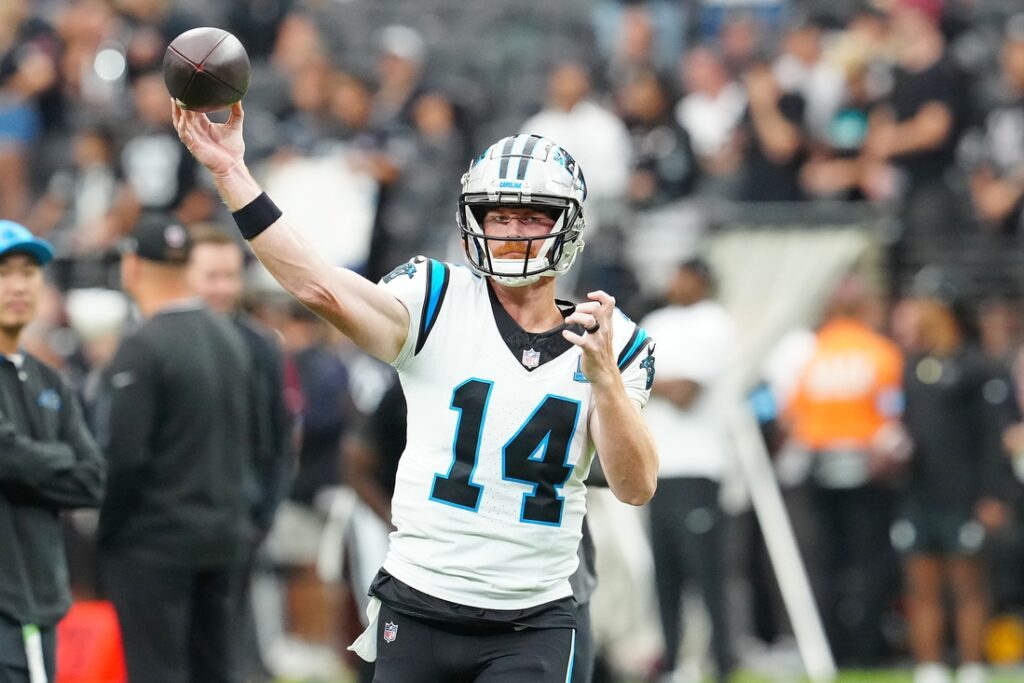 panthers