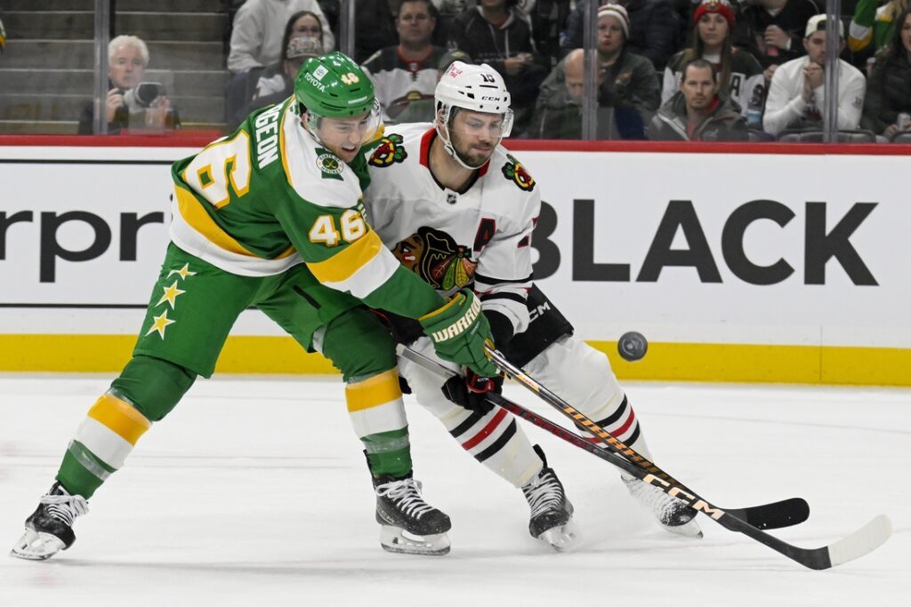minnesota wild