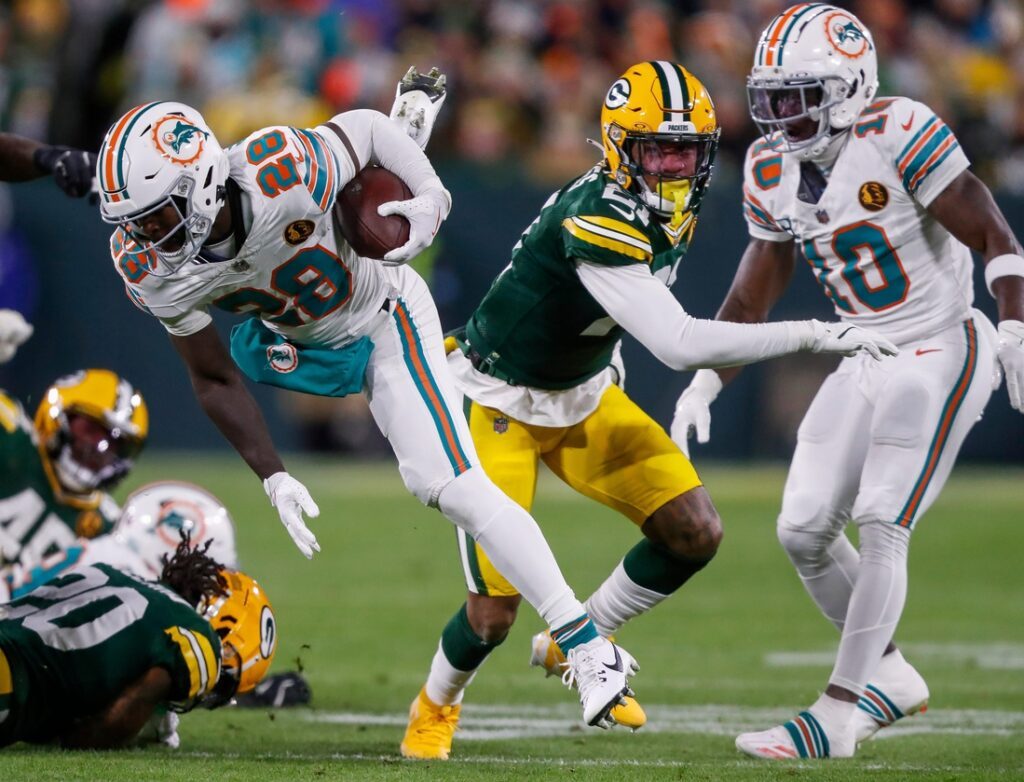 miami dolphins