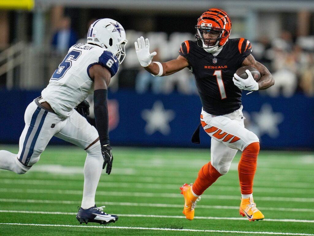 bengals, cowboys