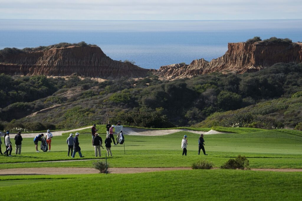 torrey pines, general