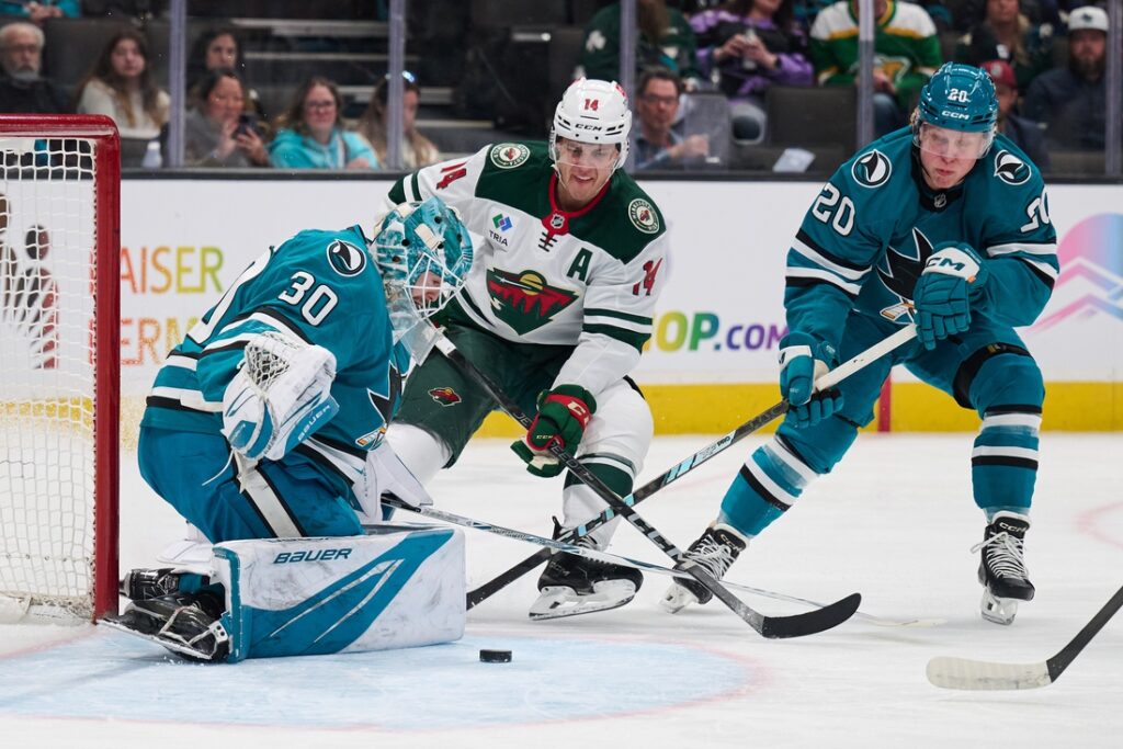 minnesota wild