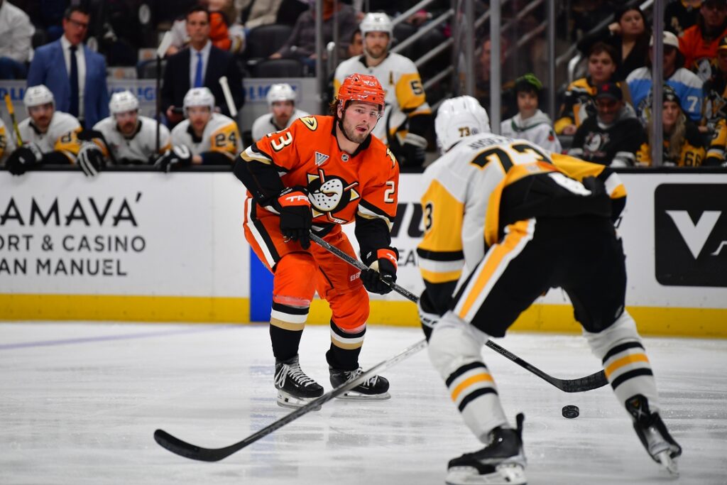 Ducks, Penguins