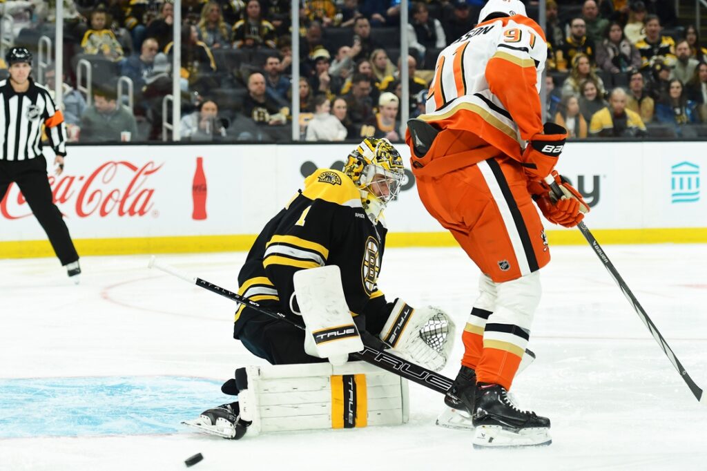 Ducks, Bruins