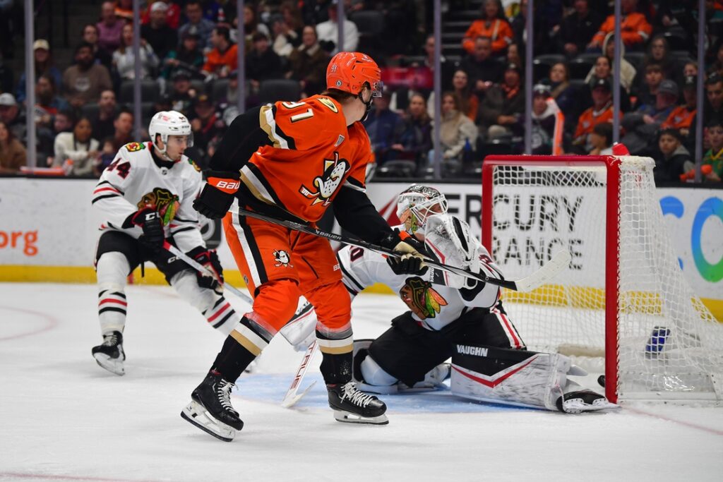 anaheim ducks