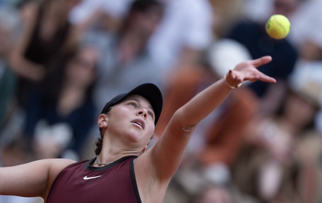 "amanda anisimova"