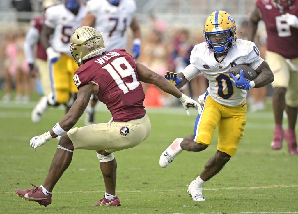 Pittsburgh Panthers