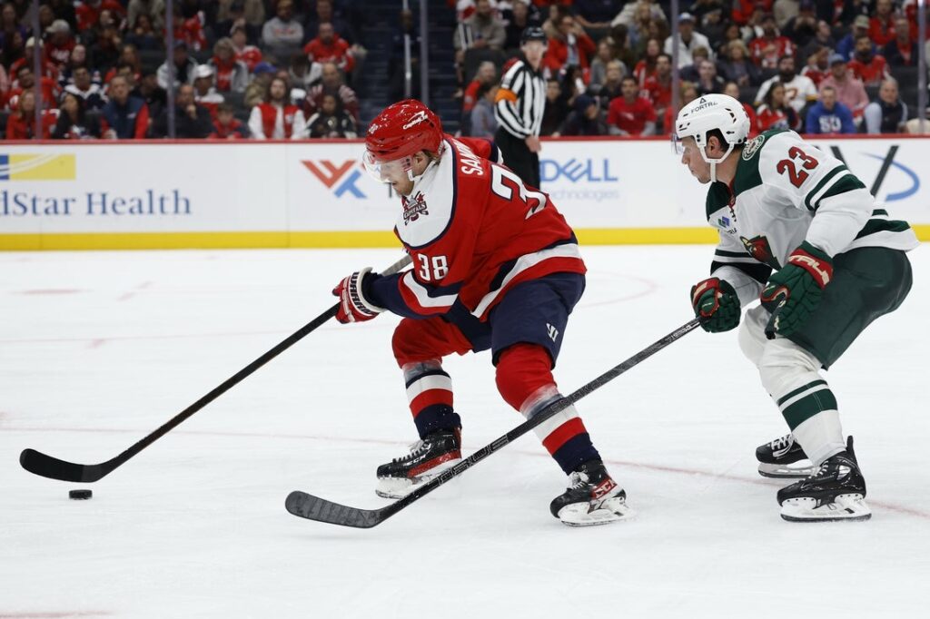 minnesota wild