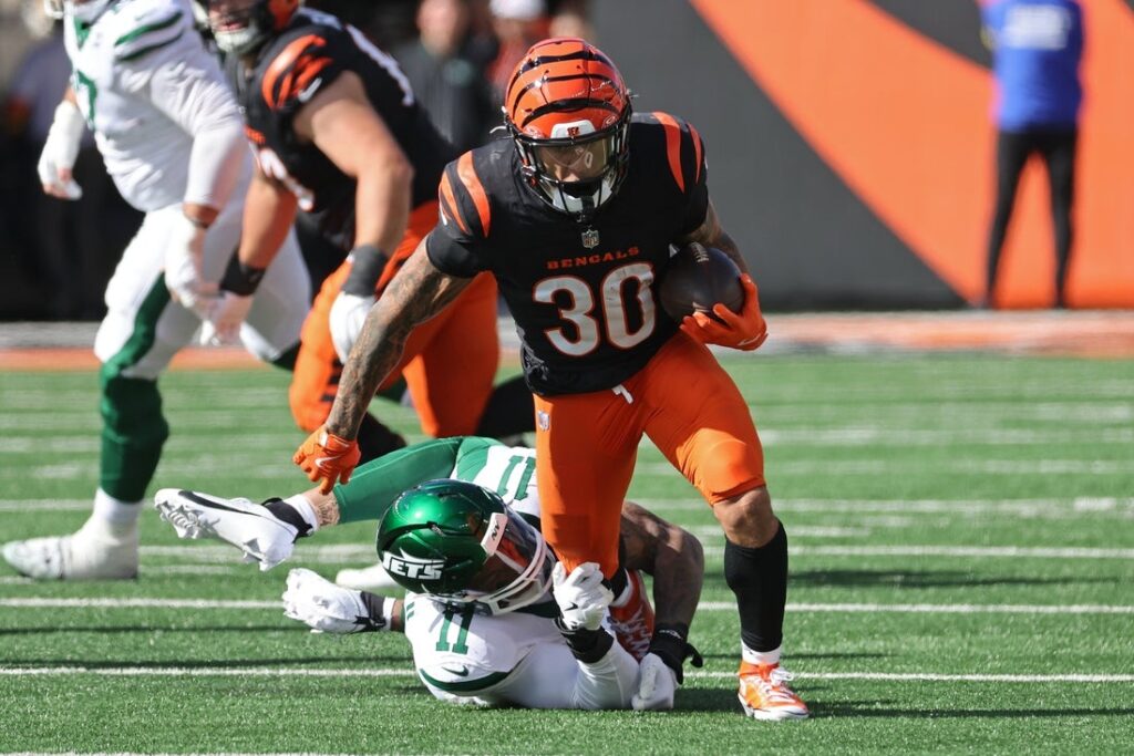 bengals