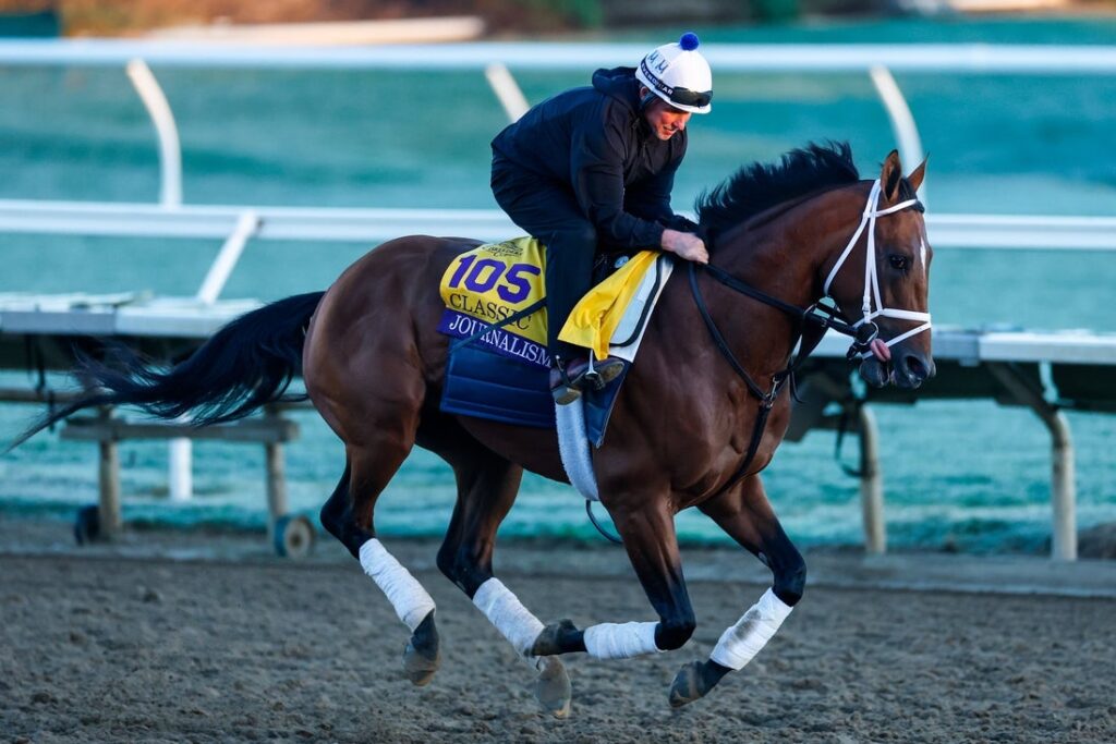 journalism horse