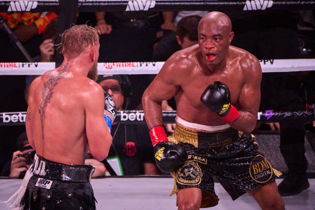 anderson silva
