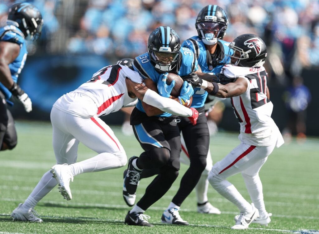 falcons, panthers