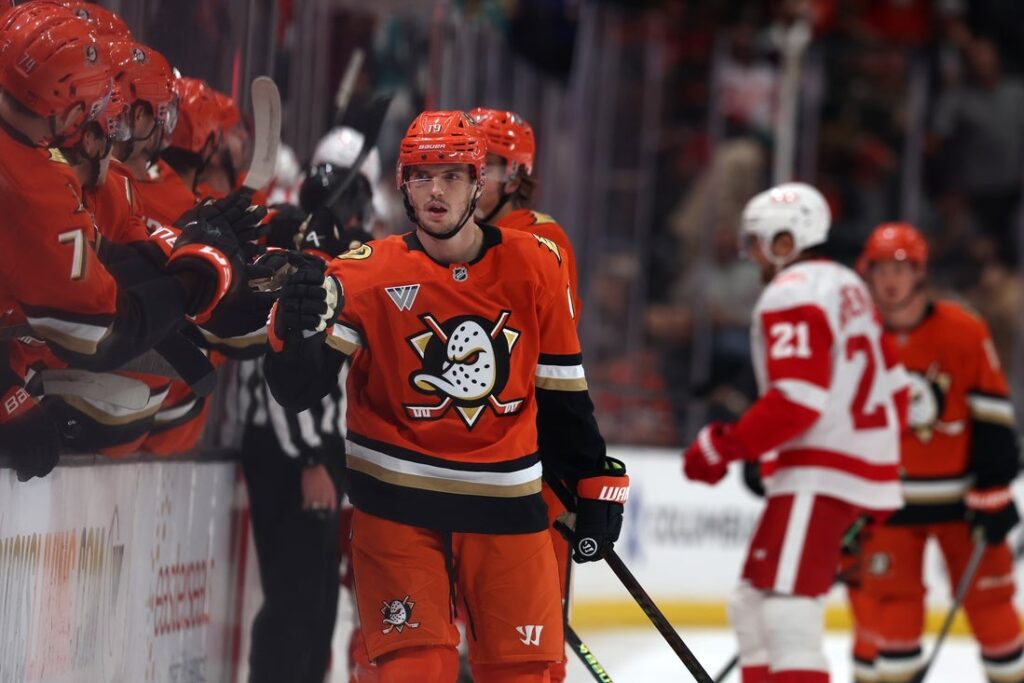 Anaheim ducks