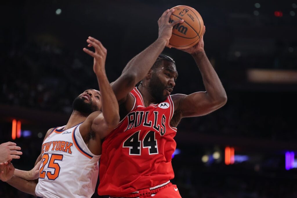 bulls