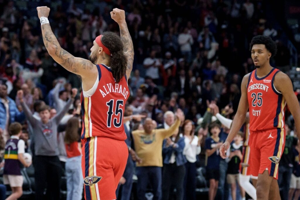 Pelicans, hornets