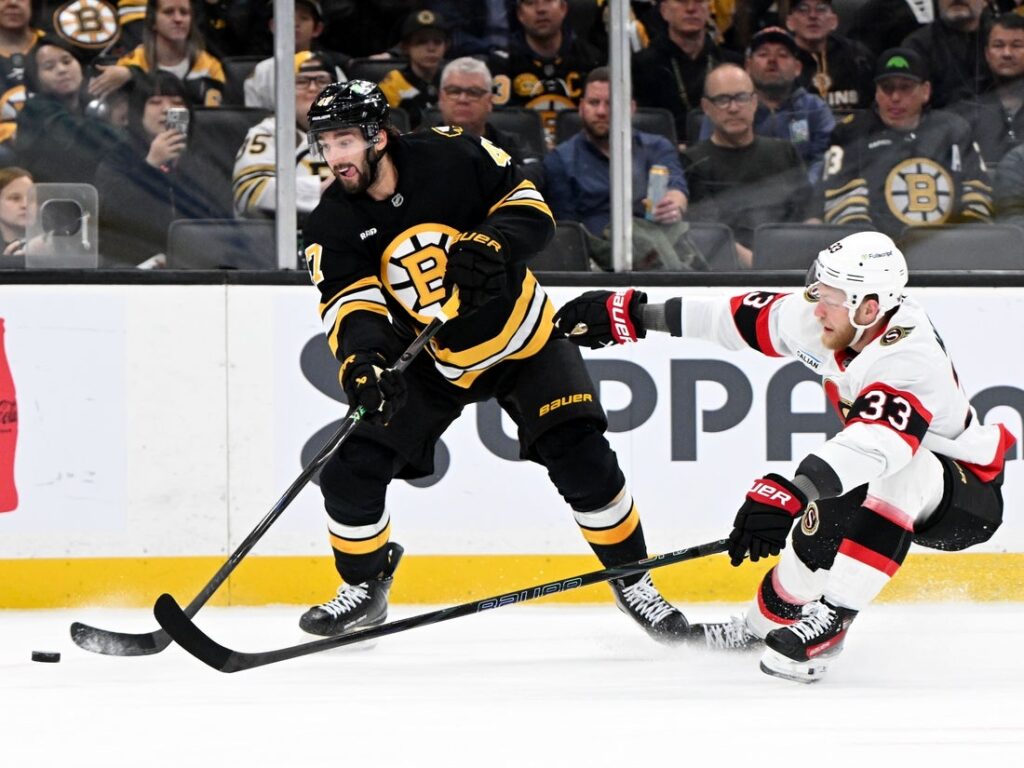 bruins