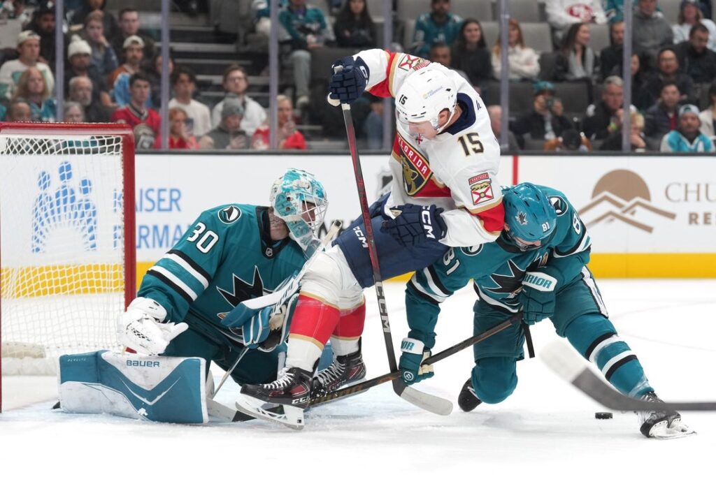 panthers sharks