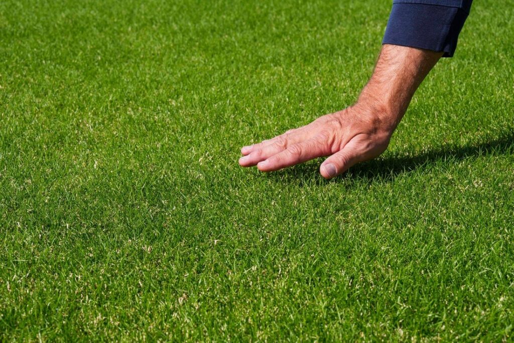 world cup 2026