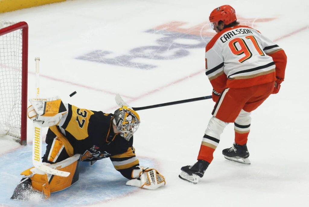 ducks, penguins