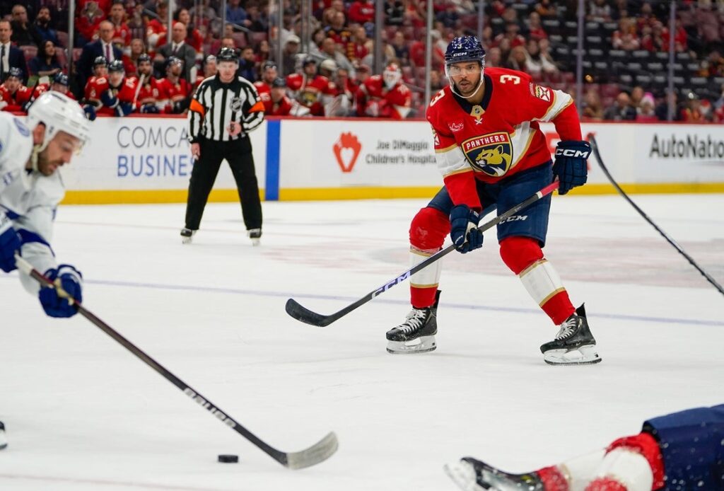 florida panthers