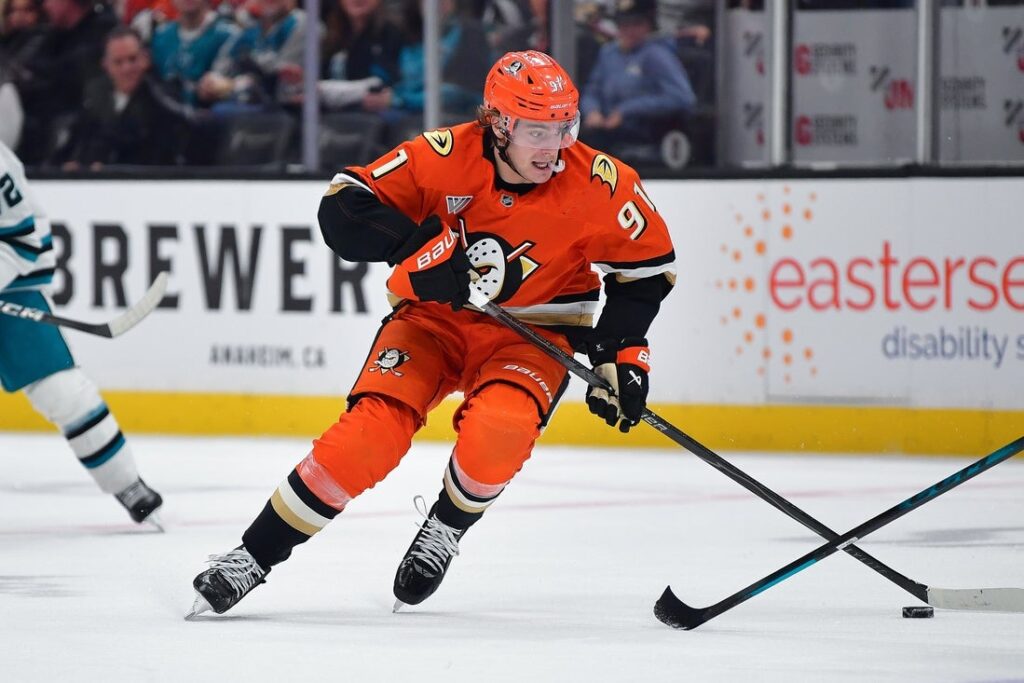 Anaheim Ducks