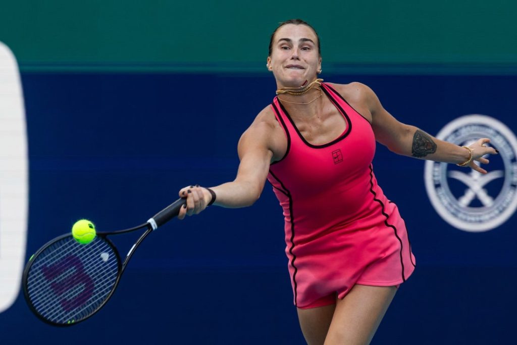 sabalenka hits